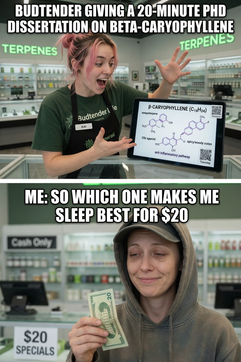 Budtender Lecture vs Casual Customer